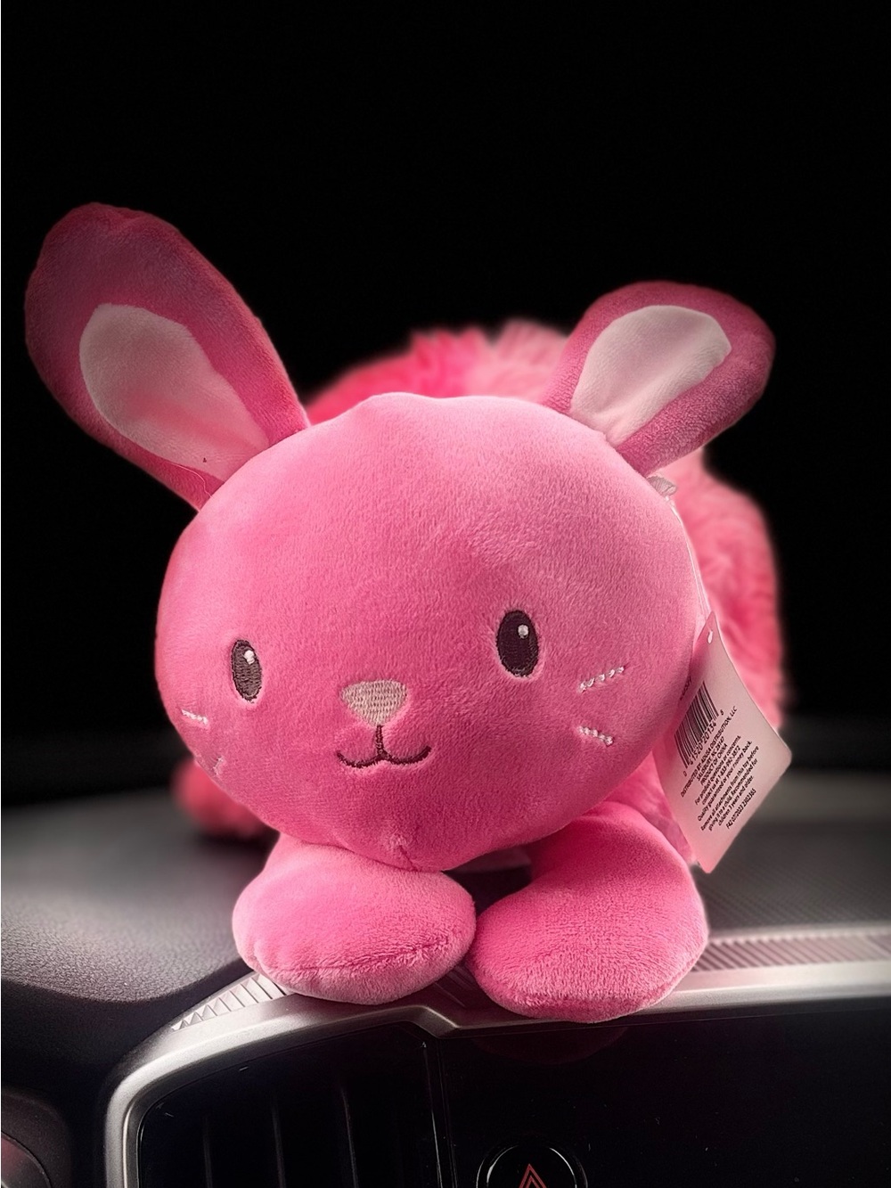 Smart Living Pink Plush Bunny Small Pet Toy